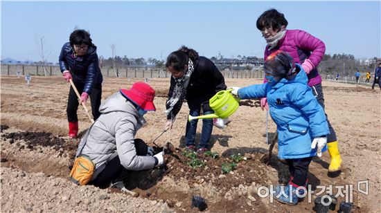 전남도농업박물관, 13일부터 선착순 분양…임대 기간 2년