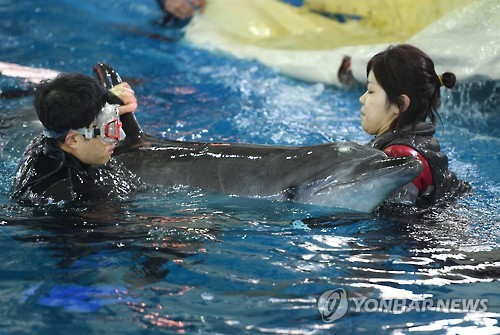 일본에서 출발해 9일 울산에 도착했을 당시의 돌고래/사진=연합뉴스