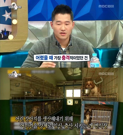  강형욱이 동물조련사가 된 이유를 밝혔다/사진= MBC '라디오스타' 방송 캡처 
