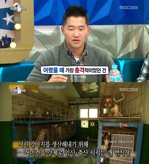 ‘라스’ 강형욱, 동물조련사 된 반전 이유 “어릴 때 父 개농장 비윤리적 운영”