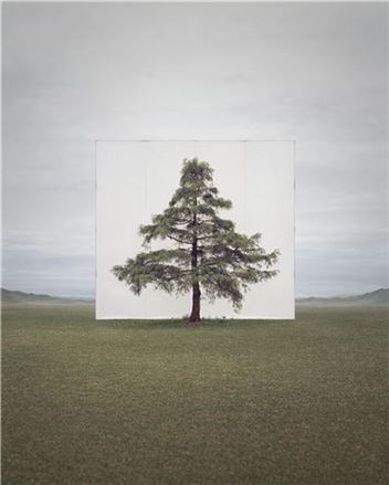이명호, Tree... #6,  2013, Ink on Paper, 124 x 104cm