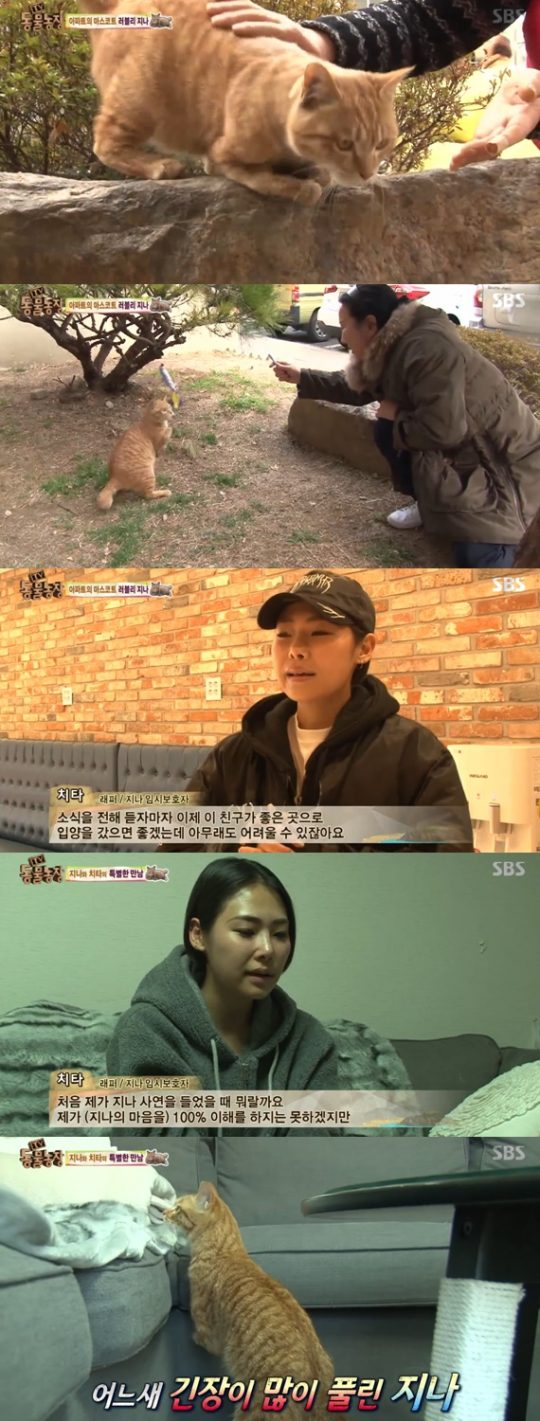 '동물농장' 가수 치타, 다리 불편한 고양이 임시 보호자 자처