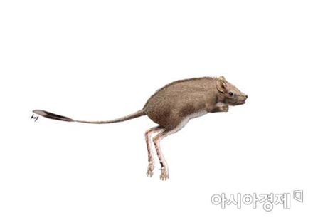 1억년전 뜀걸음 포유류 화석…진주서 세계최초 발견 