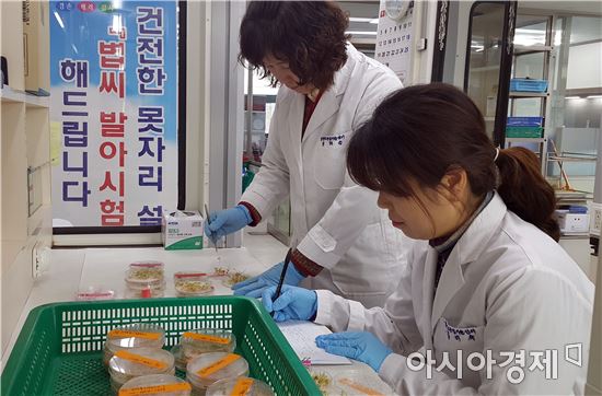 함평군 우량종자 확보 위한 볍씨 발아시험 지원