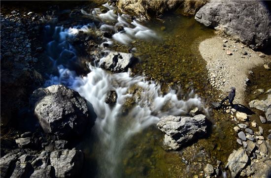 [여행만리]'무진장' 버스 타고 달려오는 봄소식, 馬耳山도 들었을까