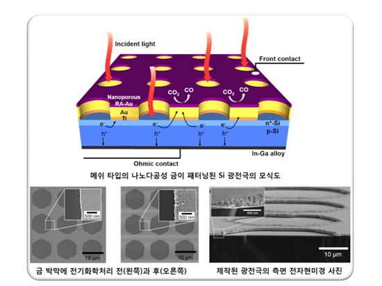 CO2 90% 분해…광전극 구조 나왔다