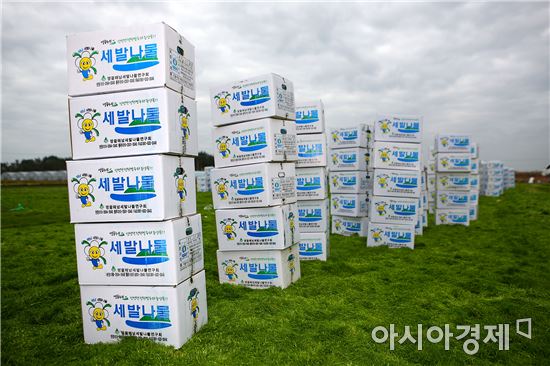 “국가대표 농수산물, 1등 해남을 찾아라”