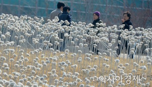 [포토]'봄이여 오라'