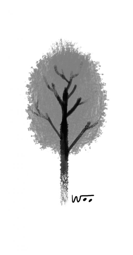 [오후 한詩]나무 한 그루의 경우/이향지