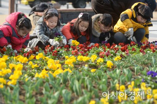 [포토]성동구청 봄꽃 식재