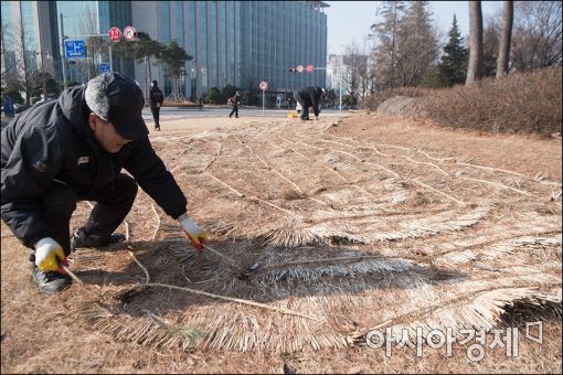 [포토]봄 맞이하는 국회