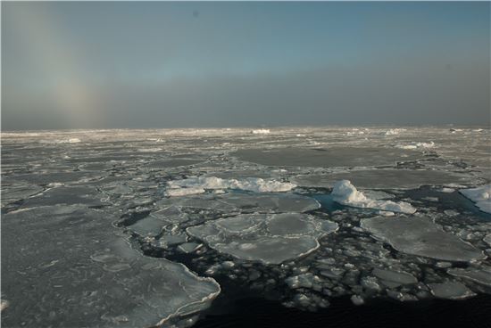 ▲북극의 해빙에 대한 최소, 최대 규모에 대한 데이터의 중요성이 커지고 있다.[사진제공=NASA] 
