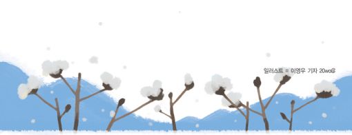 [살며 생각하며] 씨과실은 절대로 먹지 않는다고 했는데