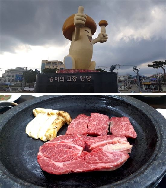 자연산 송이버섯과 한우로 유명한 양양 30년 전통의 맛집 '등불'