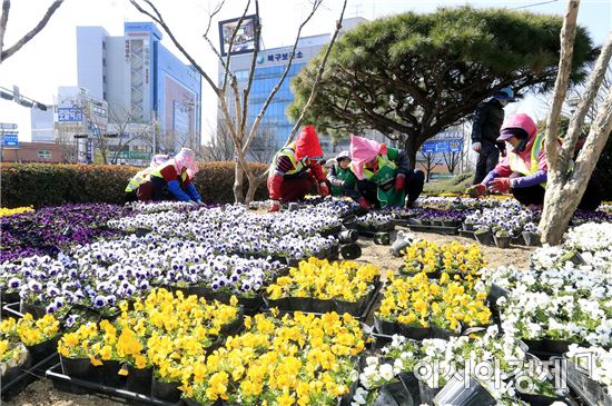 [포토]광주북구, 봄 맞이 봄꽃식재