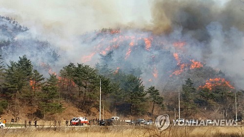 9일 오전 10시 28분께 강원 강릉시 옥계면 산계리 인근 야산에서 불이 나 불길이 마을 쪽으로 번지고 있다/ 사진= 연합뉴스