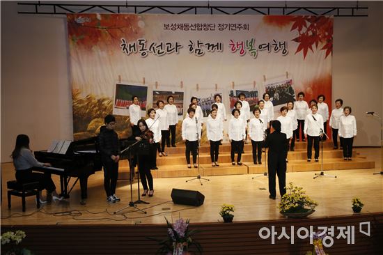 보성 ‘채동선 음악당’,2017 공연장 상주 예술단체 육성사업 선정 