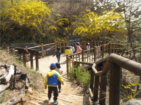 성장현 용산구청장, 해방촌 녹색마을 변신 