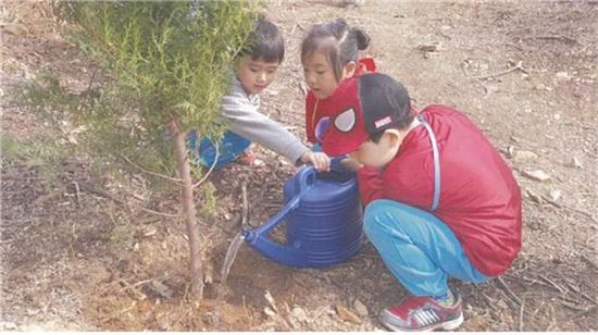 은평 편백나무 치유의 숲 4년째 무럭무럭