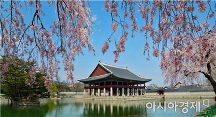 궁궐·조선왕릉, 3월 중순부터 봄꽃 개화 예상