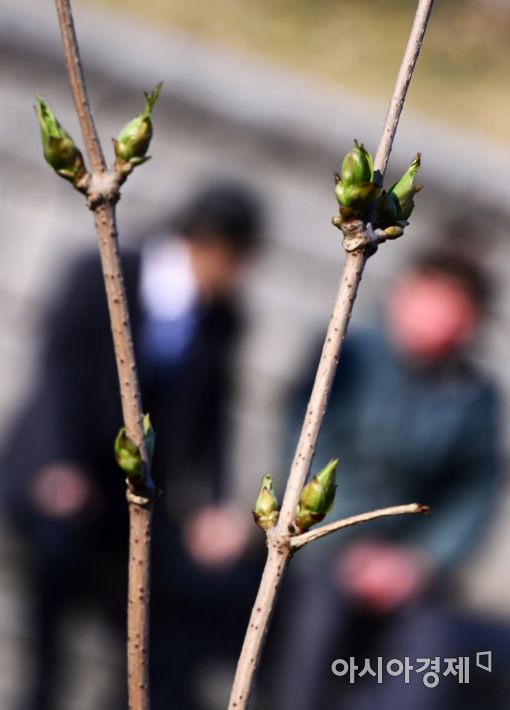 [포토]'겨울에서 봄으로'