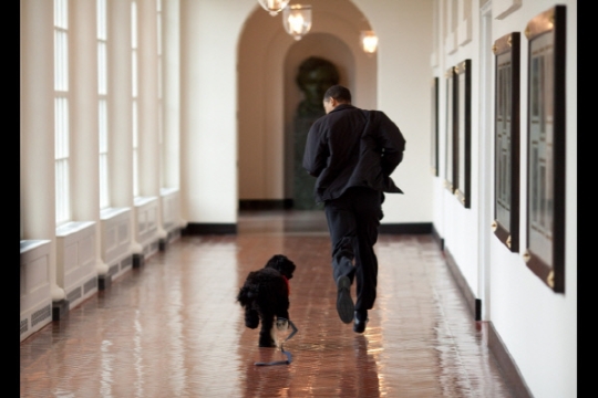 오바마와 보. 사진=백악관 홈페이지