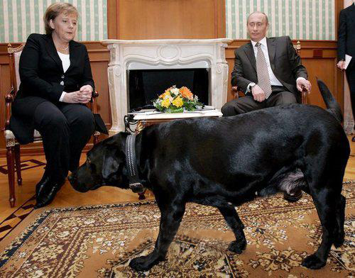 메르켈 총리와 푸틴 대통령의 모습. 사진=연합뉴스