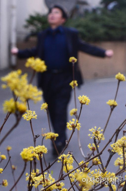 [포토]성큼 다가온 봄