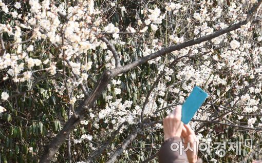 [포토]'봄이구나'