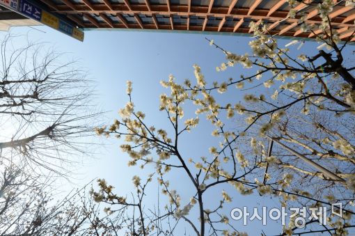 [오늘 날씨] 24일 전국 맑고 쾌청한 날씨