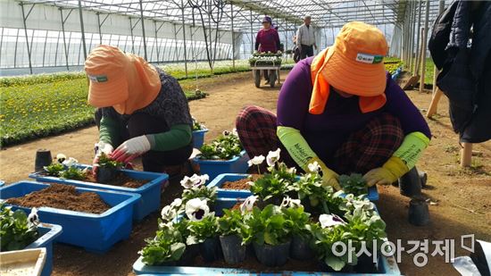 진도군, 사계절 꽃이 피는 아름다운 진도 만든다