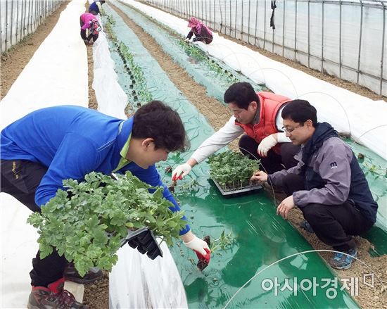 전남농협, 구례 친환경 수박 재배농가 찾아 농심동행 현장체험