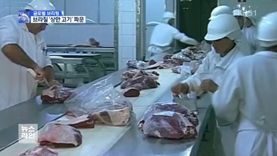 브라질 닭 / 사진=KBS 뉴스라인 캡처