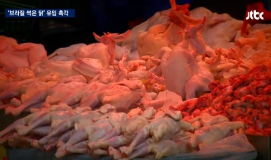 브라질 닭 / 사진=JTBC 뉴스룸 캡처