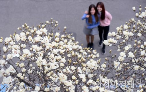 [포토]'봄이 왔구나'