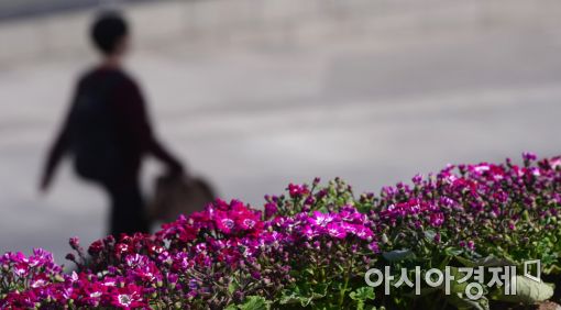 [포토]'봄을 걸어요'