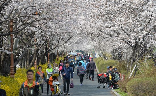 동대문구, 봄꽃축제 판매 ·체험 부스 운영자 모집