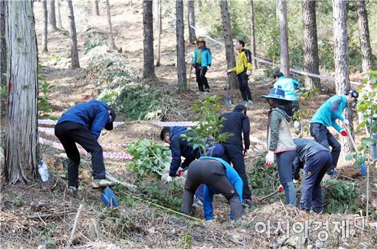 완도군, 편백숲 산림공원에서 새봄맞이 식목일 행사 가져