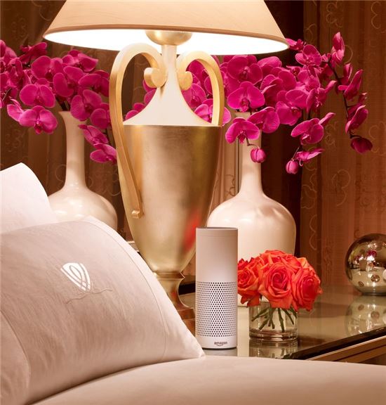 알렉사와 시리, 新격전지 '호텔'에서 싸우다