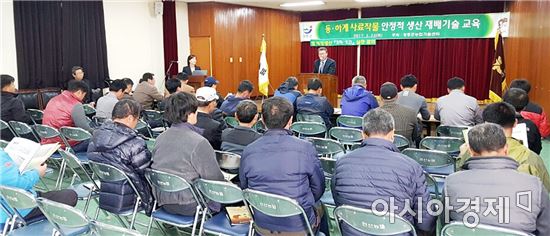 장흥군, 삼산간척지에 사료용 벼 심는다