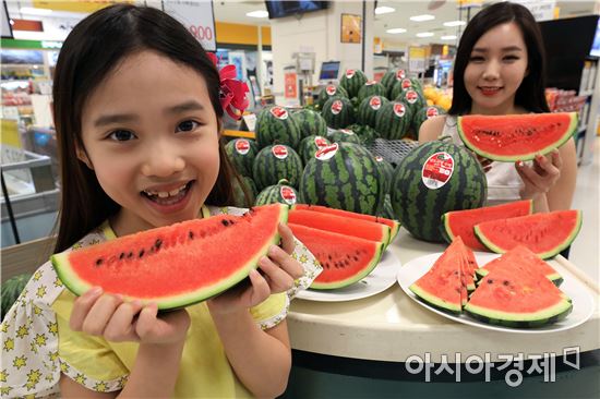 [일문일답]통계청 "이른 더위에…수박 등 햇과일값 급등" 