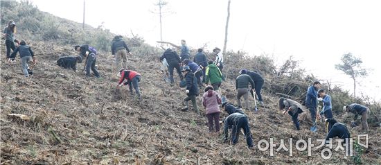 함평군 식목일 기념 나무심기 행사 가져