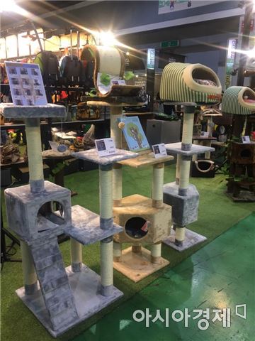 너희가 개 패션을 아느냐…올해는 줄무늬가 대세