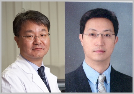 왼쪽부터 염진섭 교수, 김호중 교수