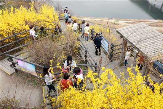 서울 봄꽃 축제 시작 