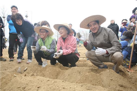 양지텃밭 감자심기 시연 