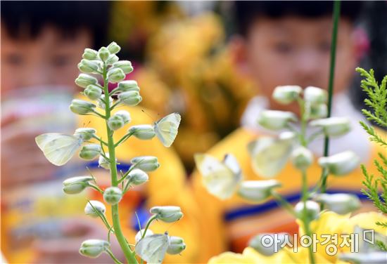 나비따라 함평에서 꽃길 걸으세요