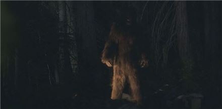 美 북서부서 ‘사스콰치’ 목격담…“2m 넘고 털로 덮여있어”