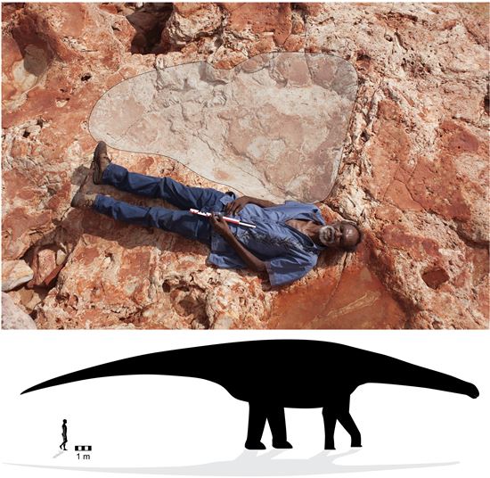 세계에서 가장 큰 공룡 발자국 화석, 호주서 발견