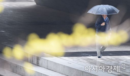 [포토]'봄비'